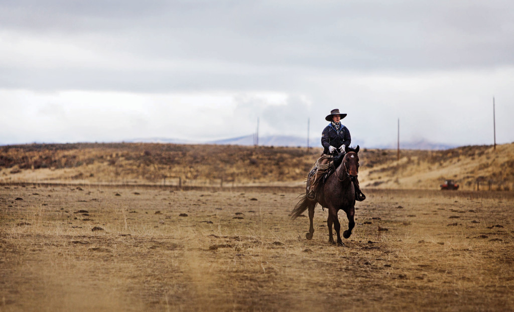 The Lonely Job of Cowboying on the Sagebrush Sea - C&I Magazine