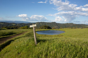 Lone Pine Ranch