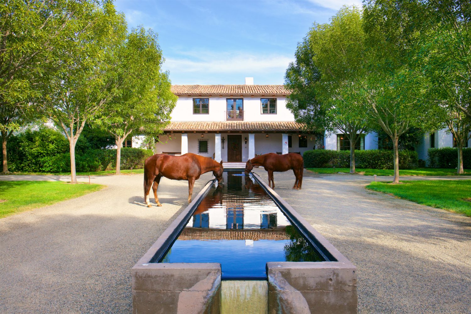 Denver Broncos Mascot's $23 Million Colorado Horse Ranch for Sale