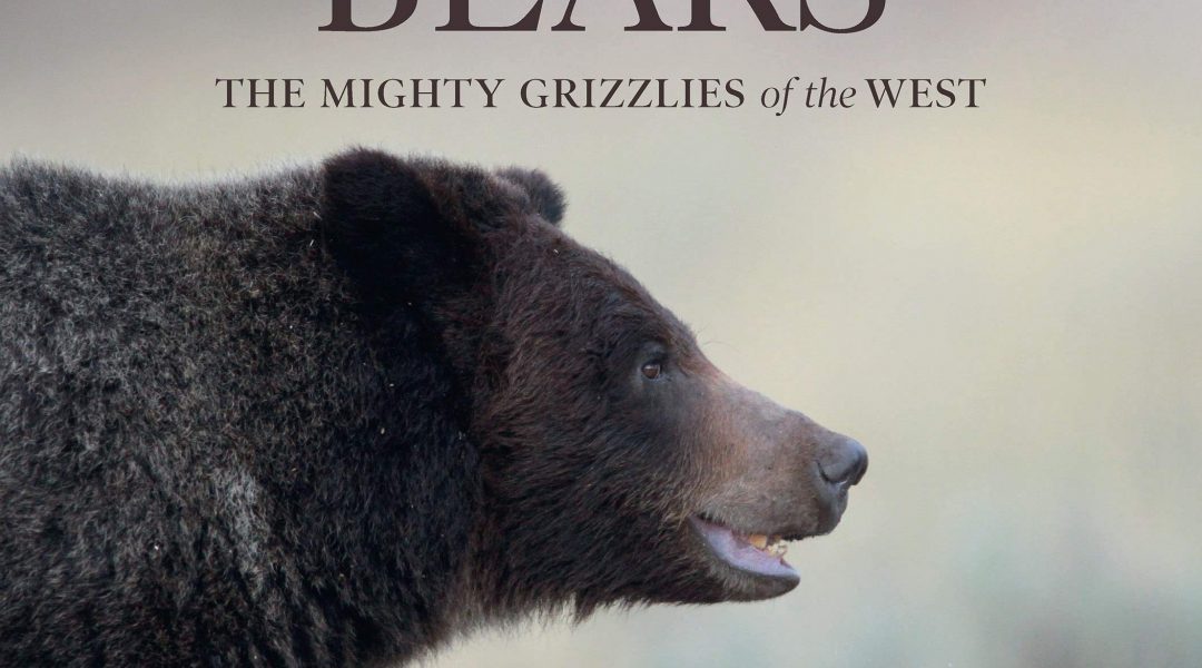 Bears - Cowboys and Indians Magazine