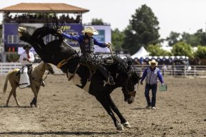 Cheyenne Frontier Days