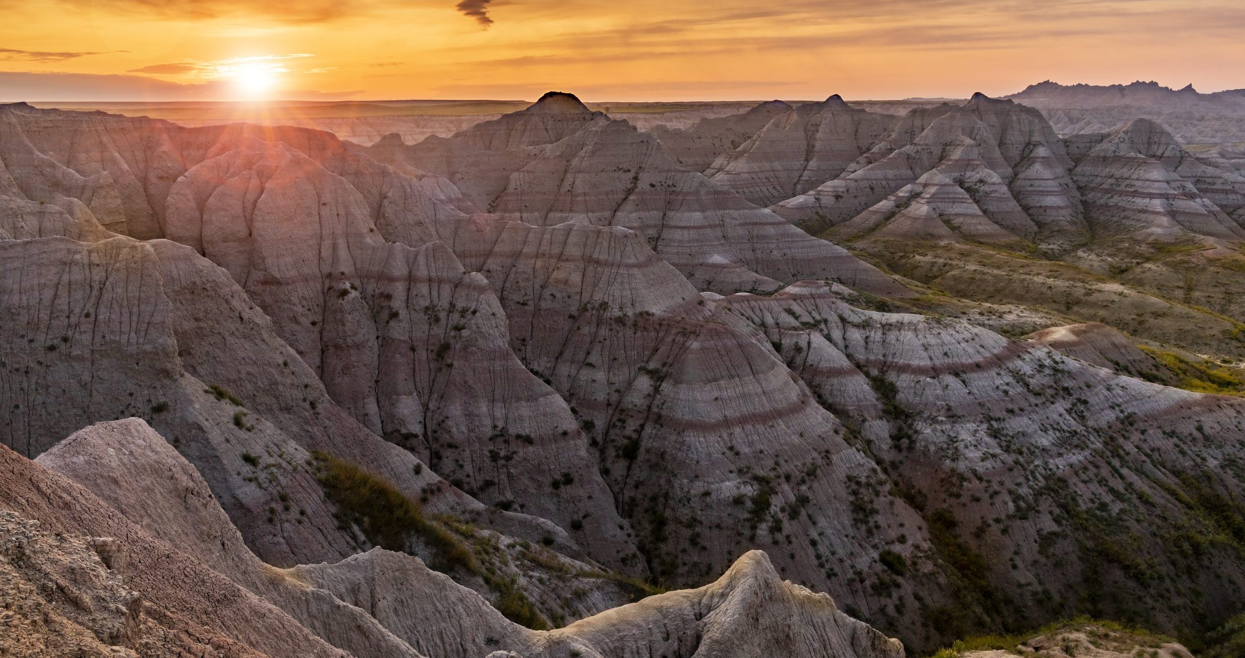 The Dakotas