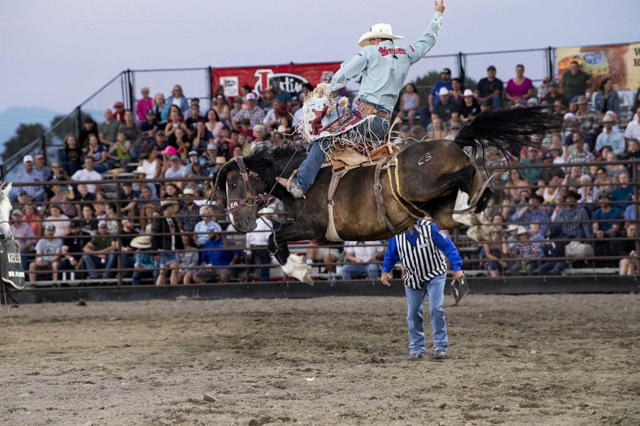 Summer Rodeo Roundup