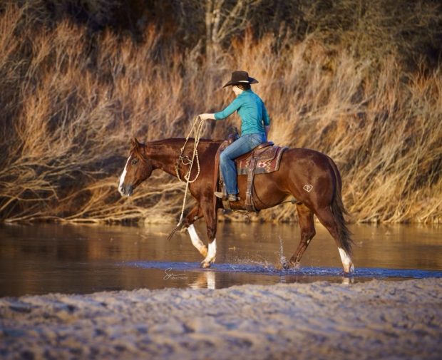 Horses From Ladies, For Ladies: Cowgirl Cadillacs Comes To Wyoming