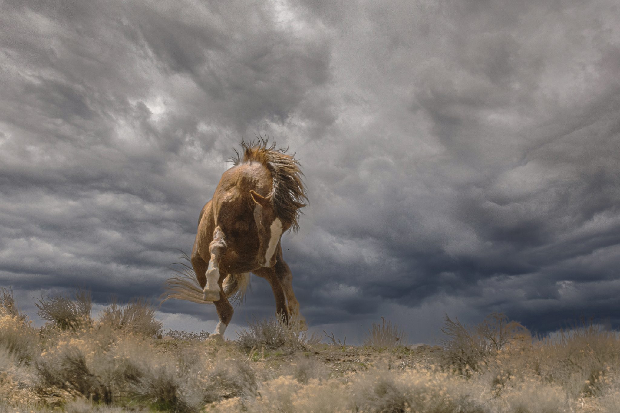 Thunderstruck-by-Nancy-Florence - Cowboys and Indians Magazine