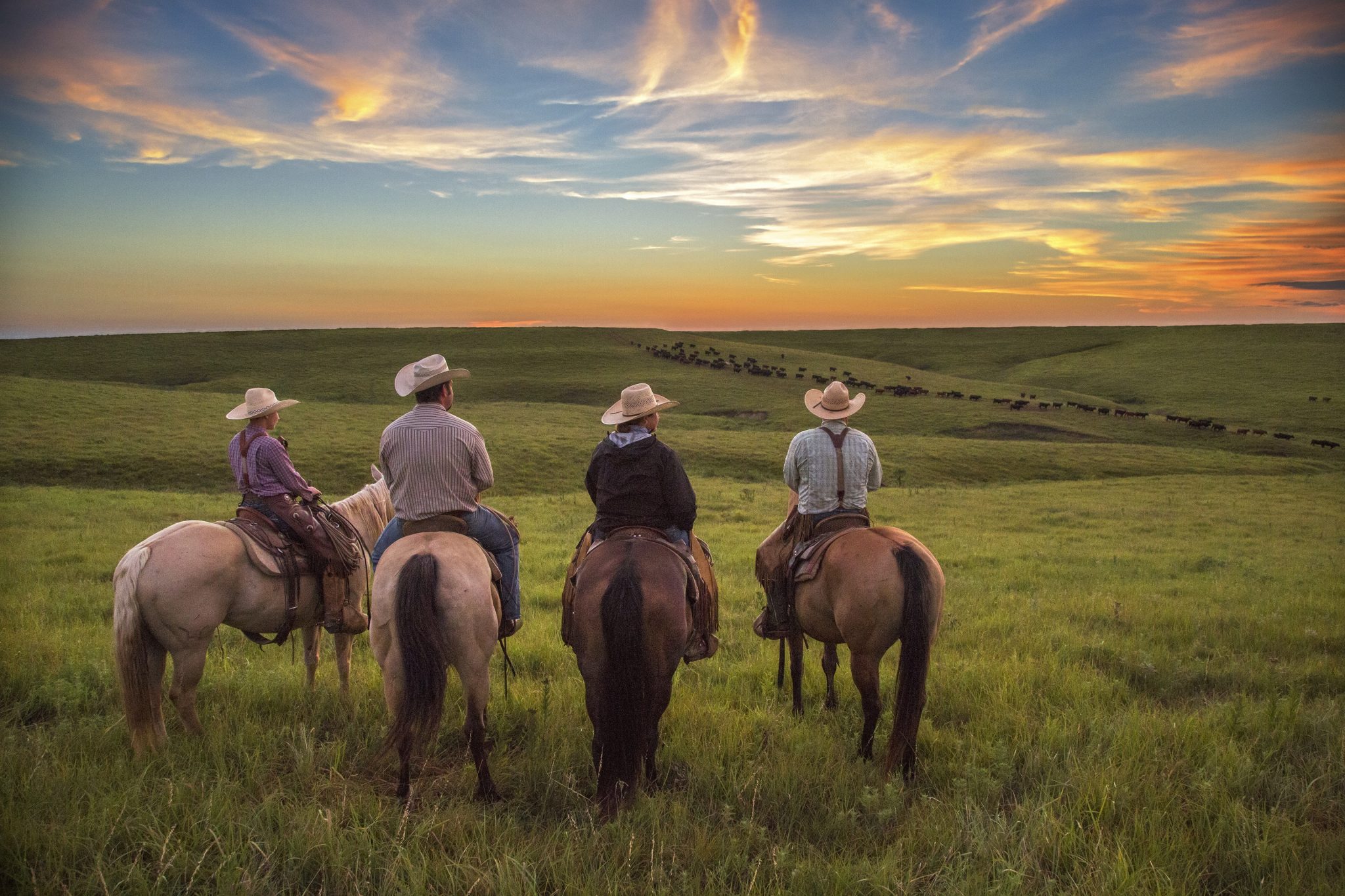 Keeping-Watch-by-Crystal-Socha - Cowboys and Indians Magazine