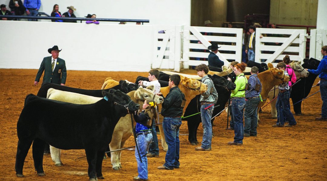 The Fort Worth Stock Show Syndicate - C&I Magazine